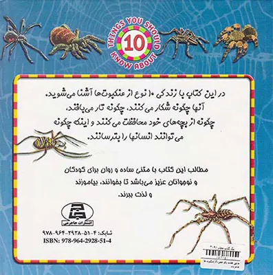 جانور هشت پای خطرناک عنکبوت ها